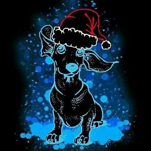 Meet your Posher, Stephanie - Picture 1 of 1